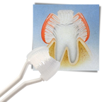 Cepillo de dientes de tres caras para adultos y niños