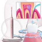 Cepillo de dientes eléctrico con limpieza sónica para adultos