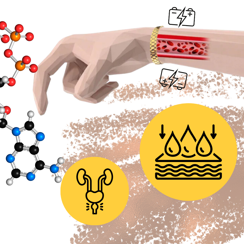 Pulsera de magnetoterapia de cobre