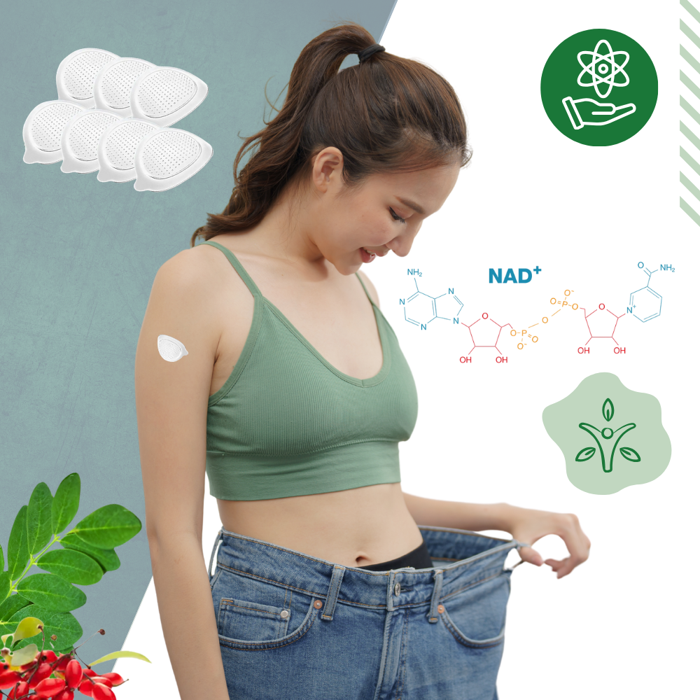 Parches de moringa con microagujas